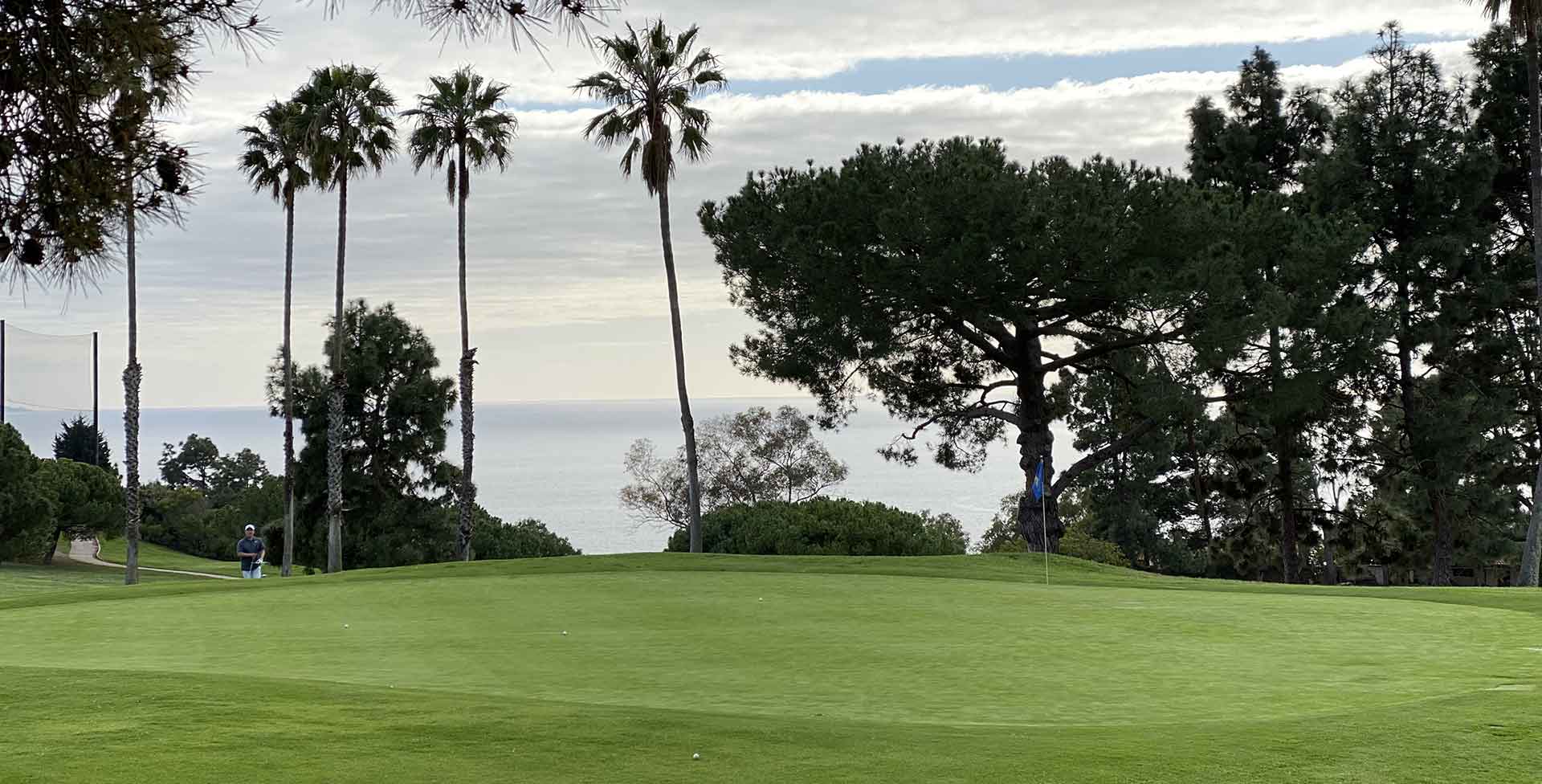 A golf course with a golfer in the distance surrounded by trees.